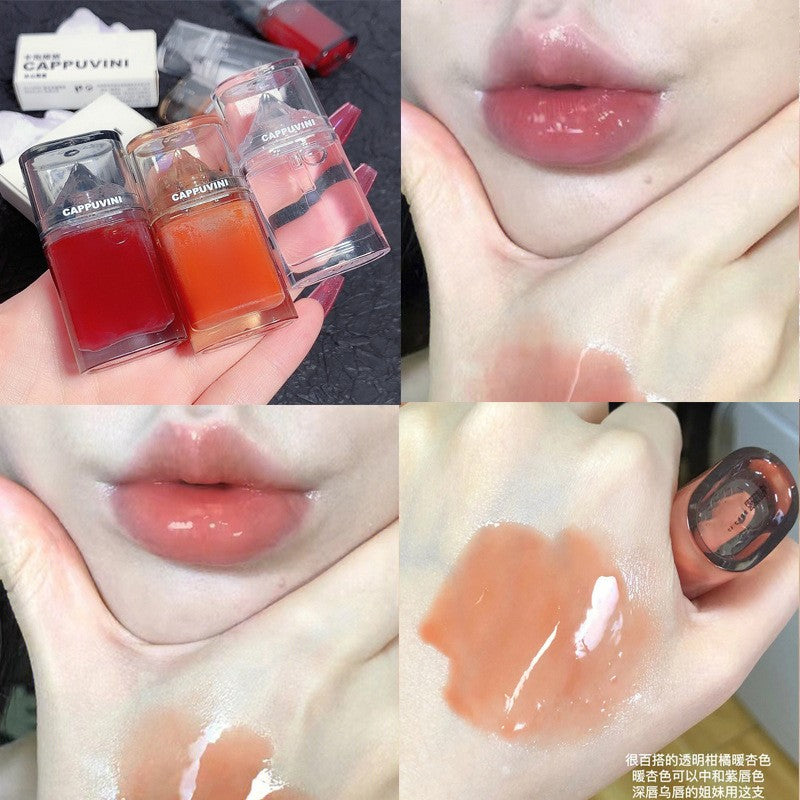 Iceberg Lip Gloss – Glänzender Lippenbalsam